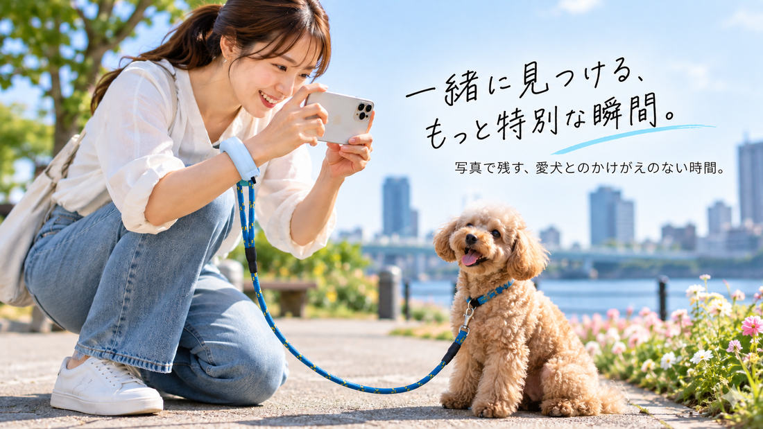 犬の散歩中に写真を上手に撮る7つのコツ｜愛犬との思い出をもっと素敵に残そう